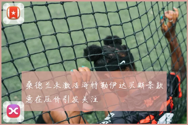 桑德兰未激活海特勒伊达买断条款意在压价引发关注