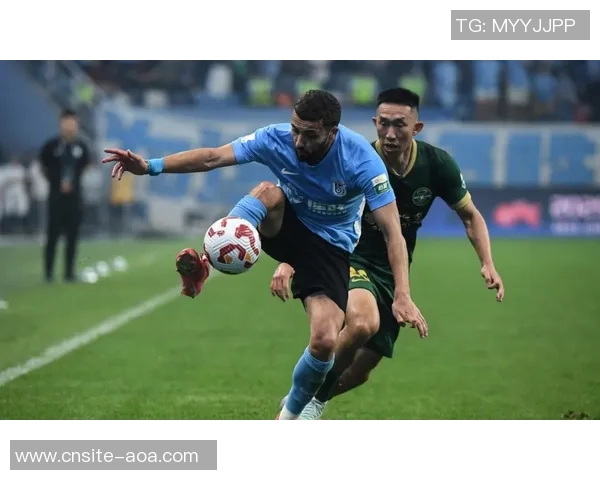 中超外援身价榜揭晓盖伊250万欧并列第八热菲尼奥450万欧居首